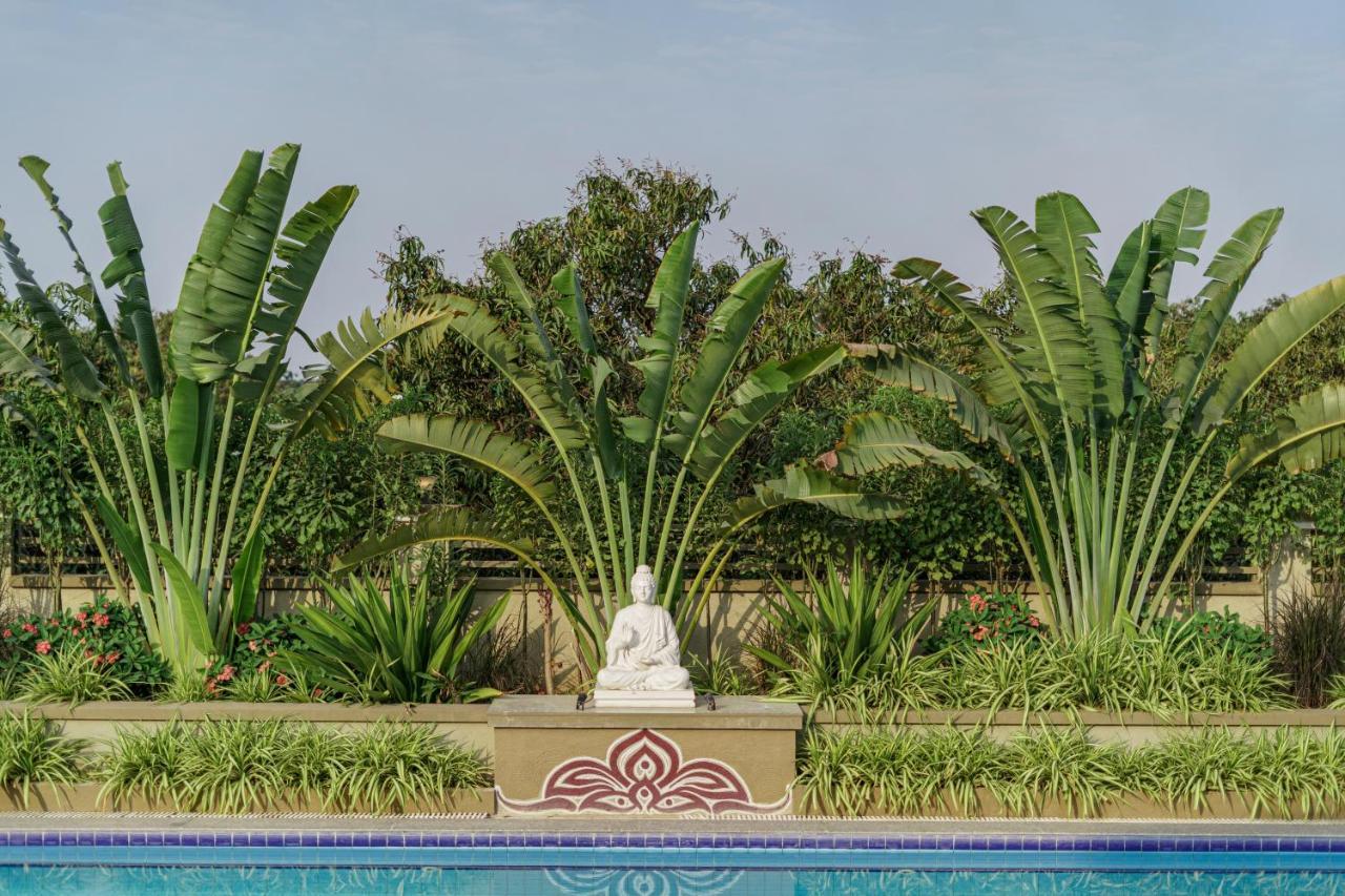Sterling Gir Hotel Talala Luaran gambar